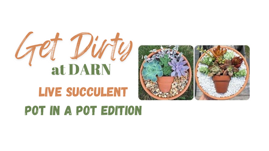 Live Succulent Pot in a Pot 09/05/24 @6pm